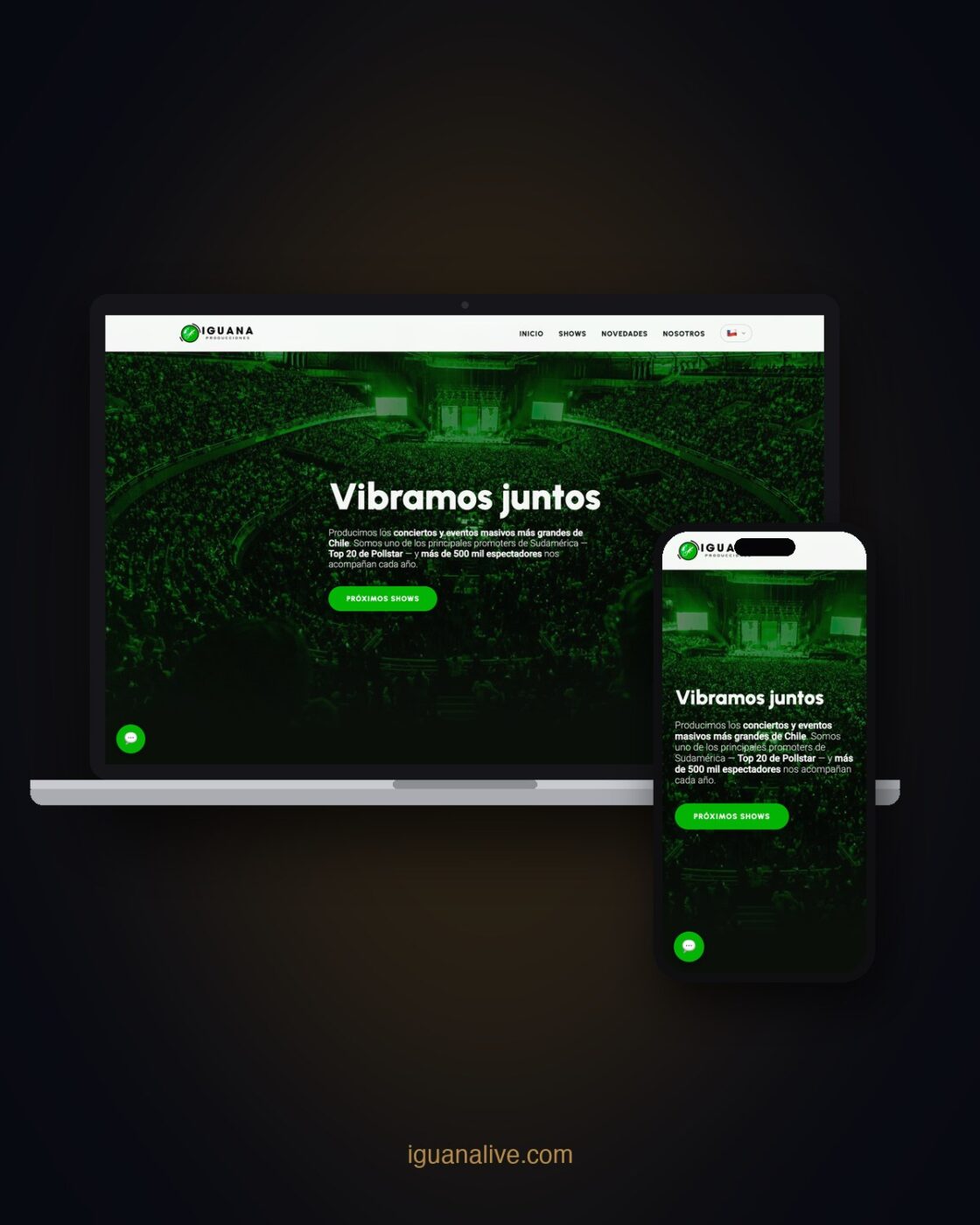 Sitio Web Iguana Producciones